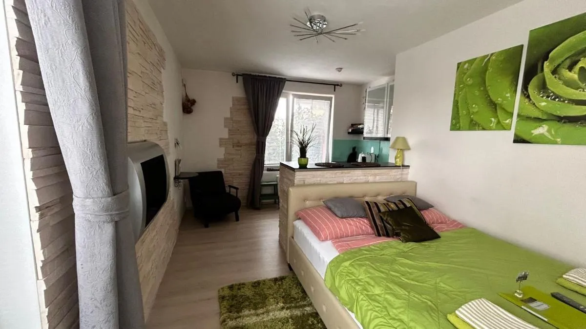 Image 1 of Bastien Studio near Airport