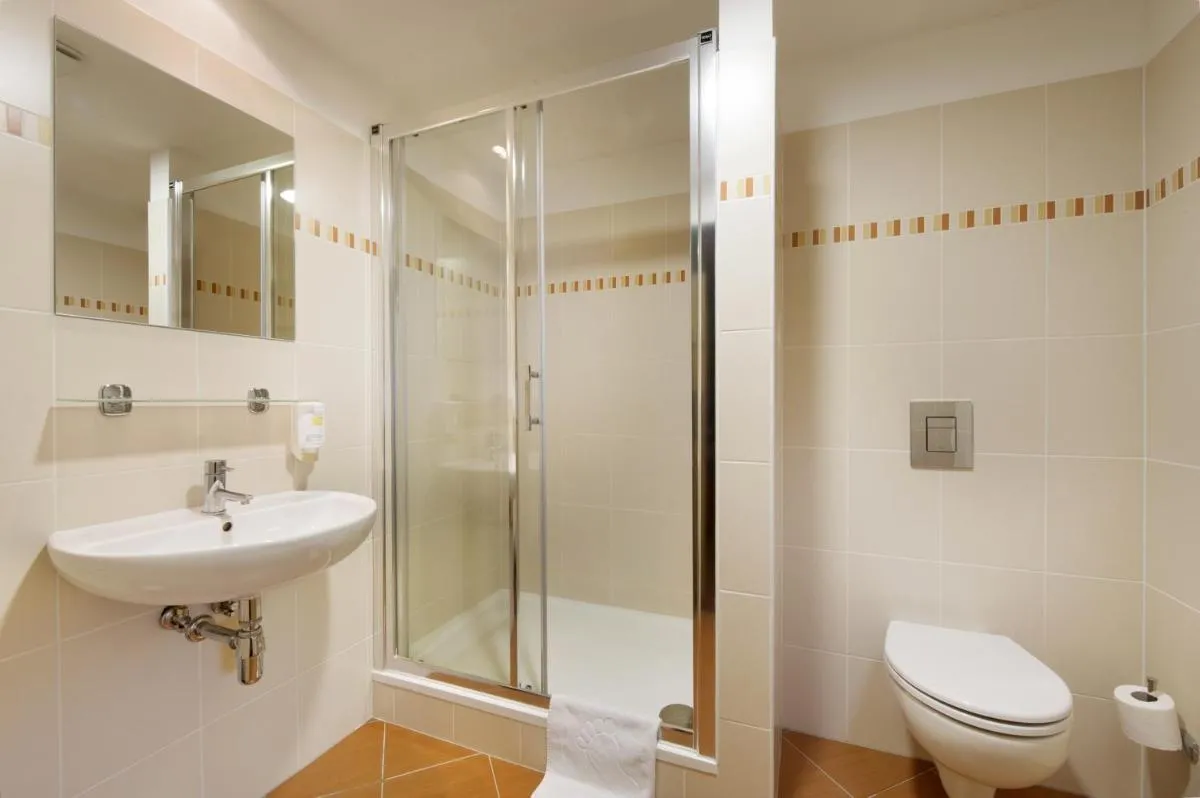 Image 5 of Congress & Wellness Hotel Olsanka