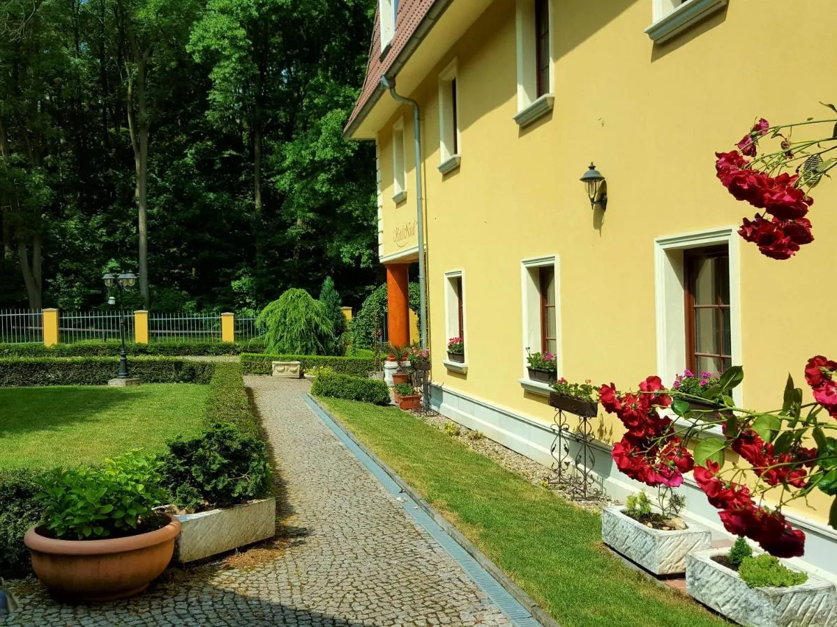 Image 4 of Hotel Nosal