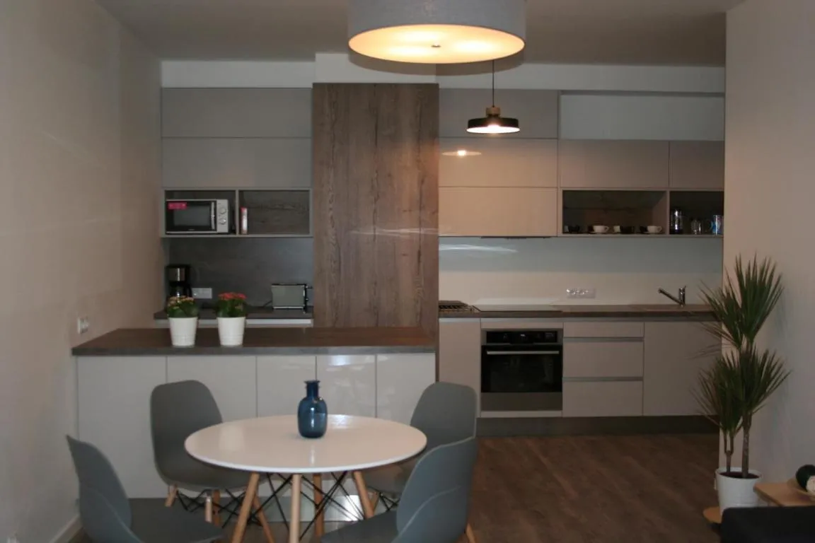 Image of Karlín Apartment