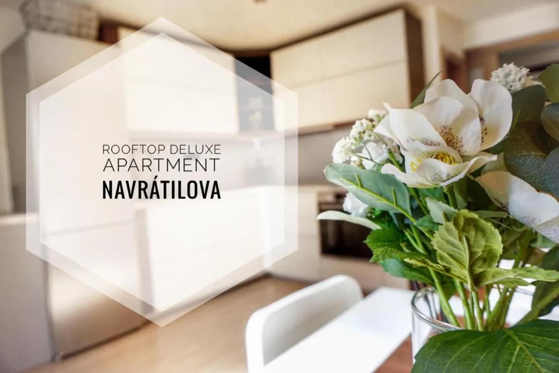 Image of Rooftop Deluxe apartment