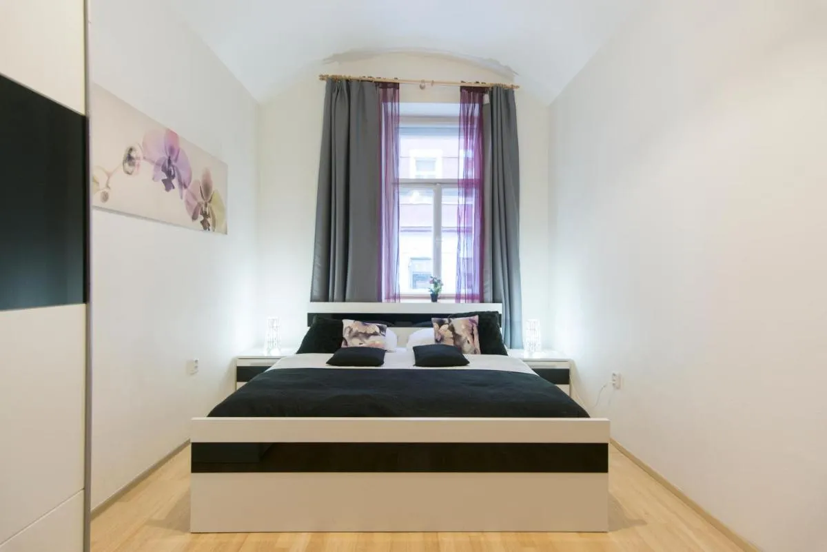 Image 1 of Spacious apartment near Wenceslas Square