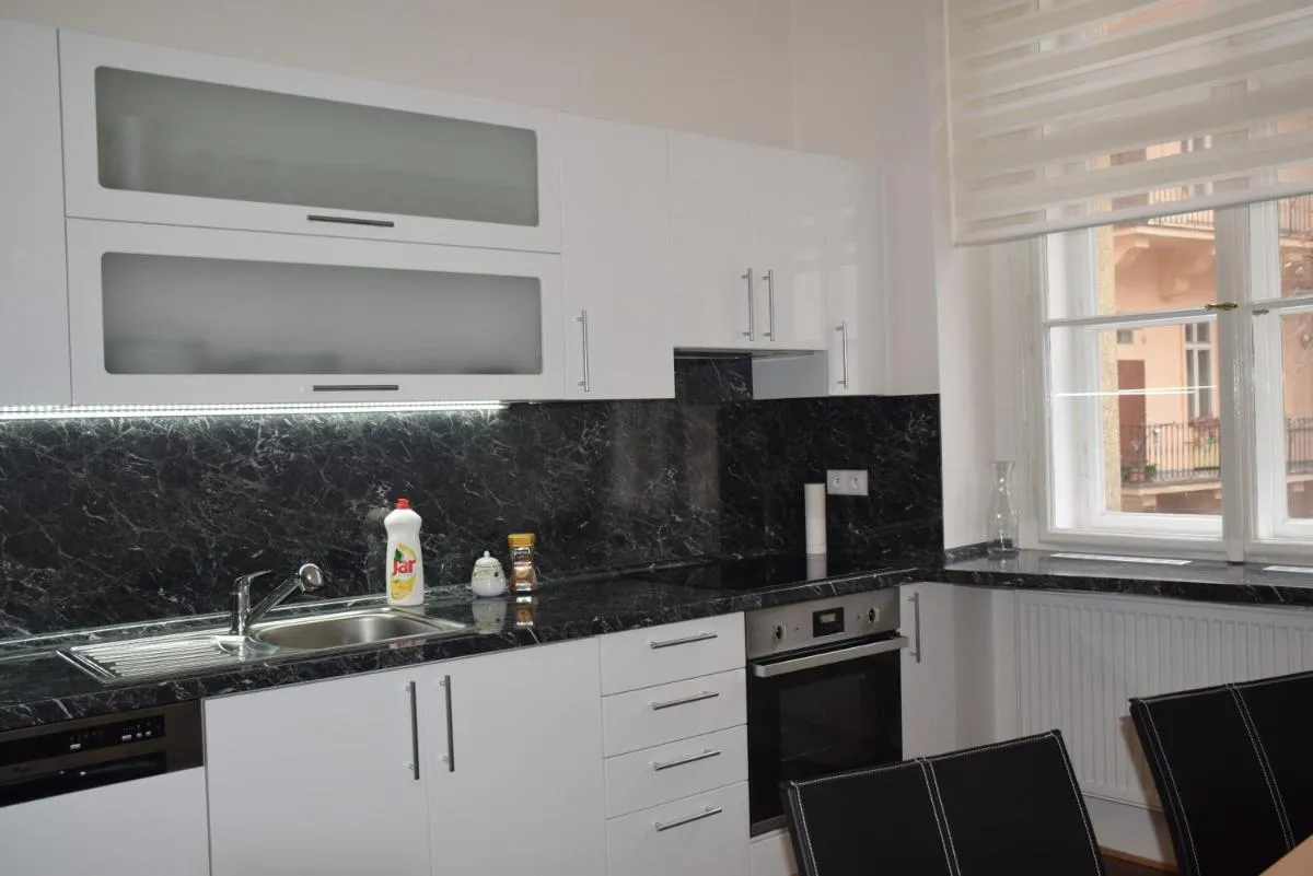 Image 3 of Tiva Downtown Apartments