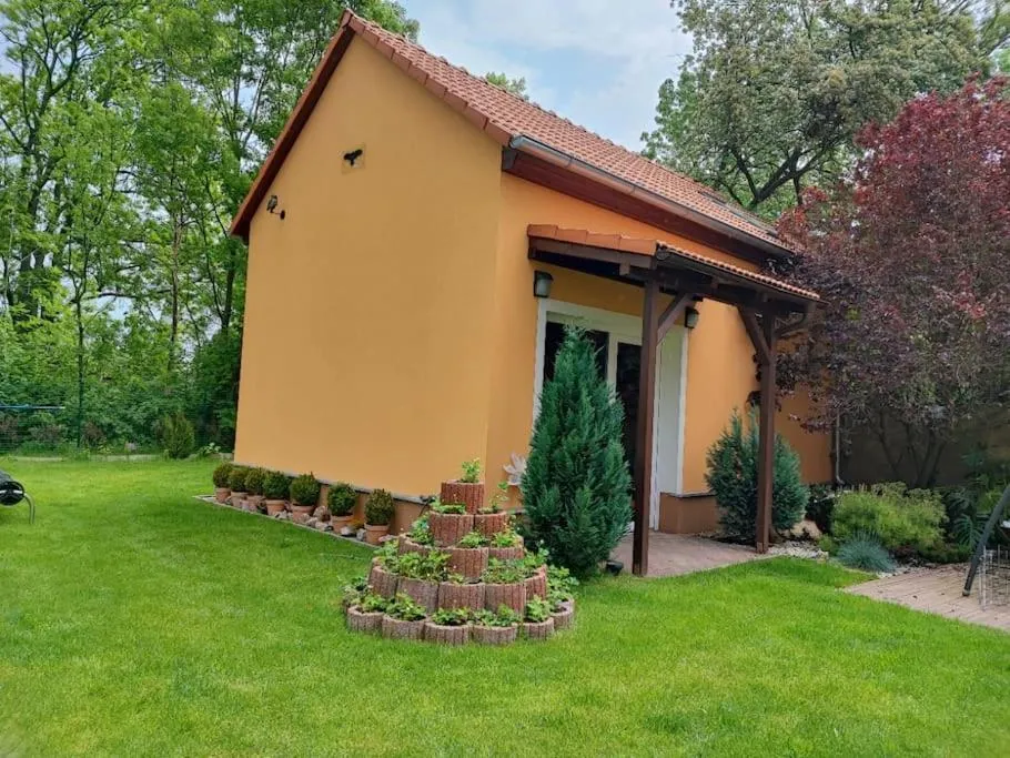 Image 6 of Bright cosy house with parking