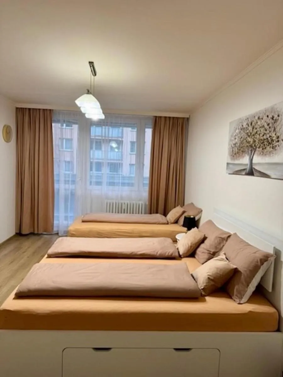 Image 2 of Charming apart near Center