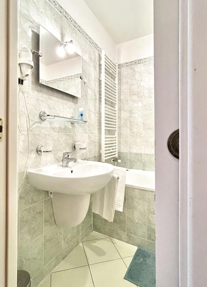 Image 4 of Cosy central apartment in Žižkov
