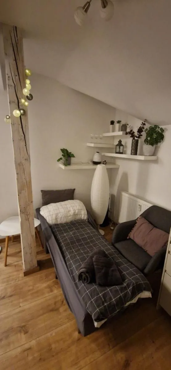 Image 5 of Cozy Apt Near Prague Castle
