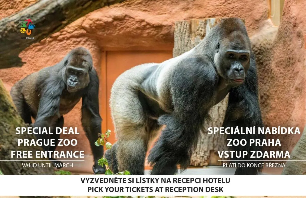 Image 4 of Hotel U Divadla – Czech Leading Hotels