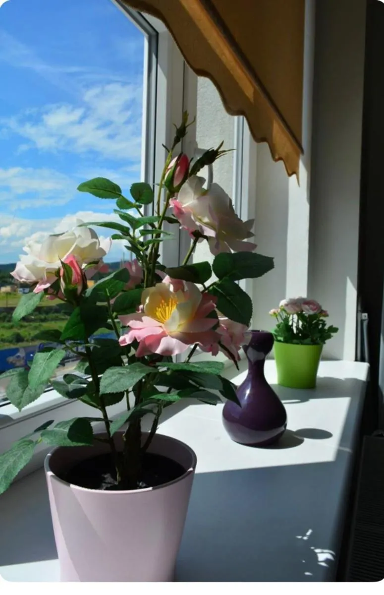 Image 5 of MM Apartment Argentinska