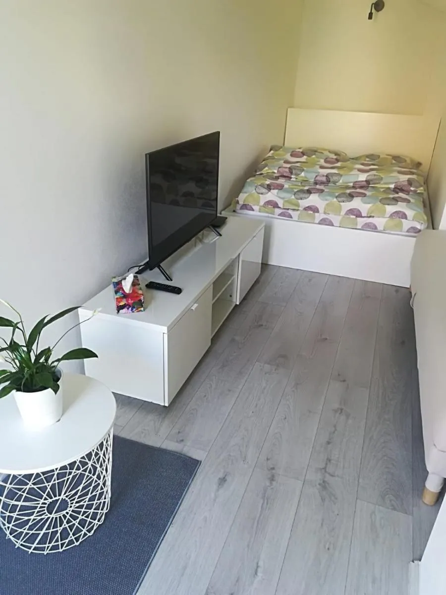 Image 3 of Modern Studio in Prague 7