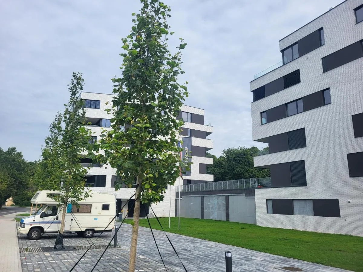 Image 5 of New apartment in Karlín, Praha 8, close to center