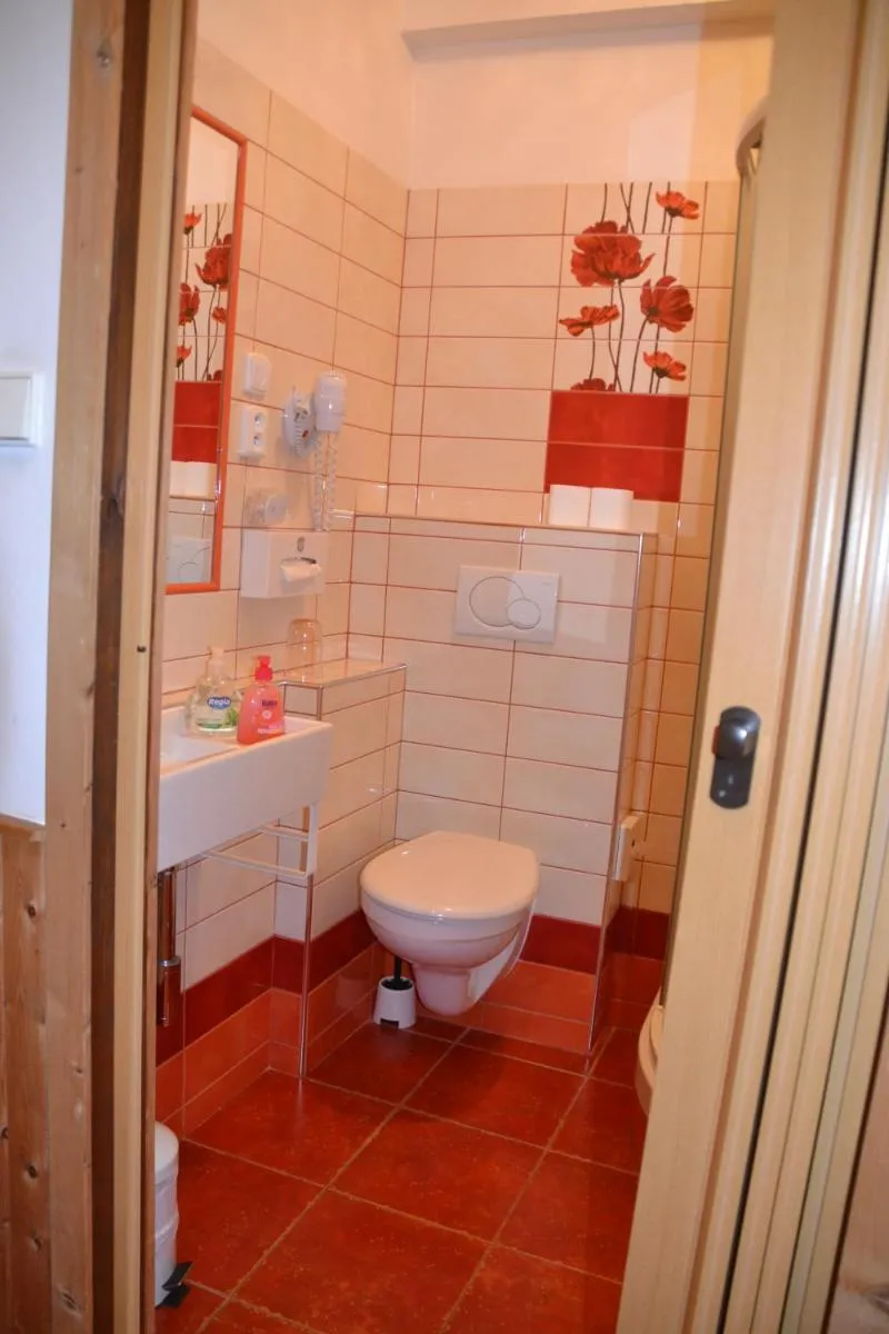 Image 4 of Pension U akátu