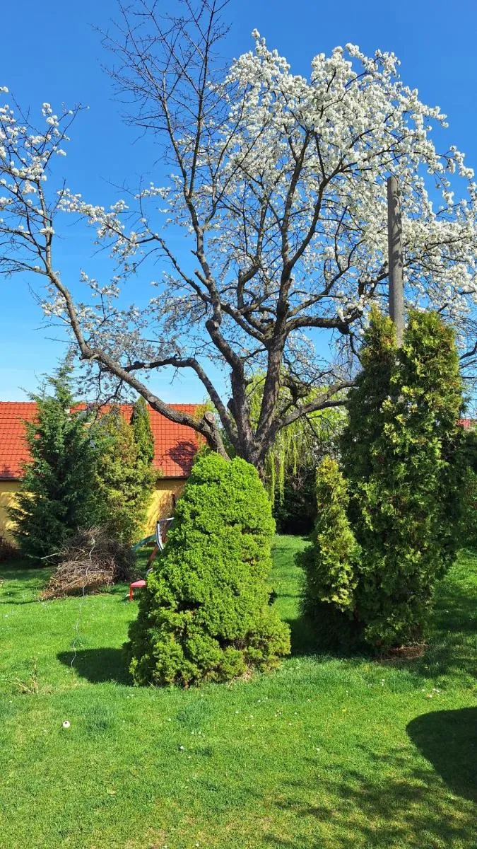 Image 6 of Prague Zbraslav Old Garden