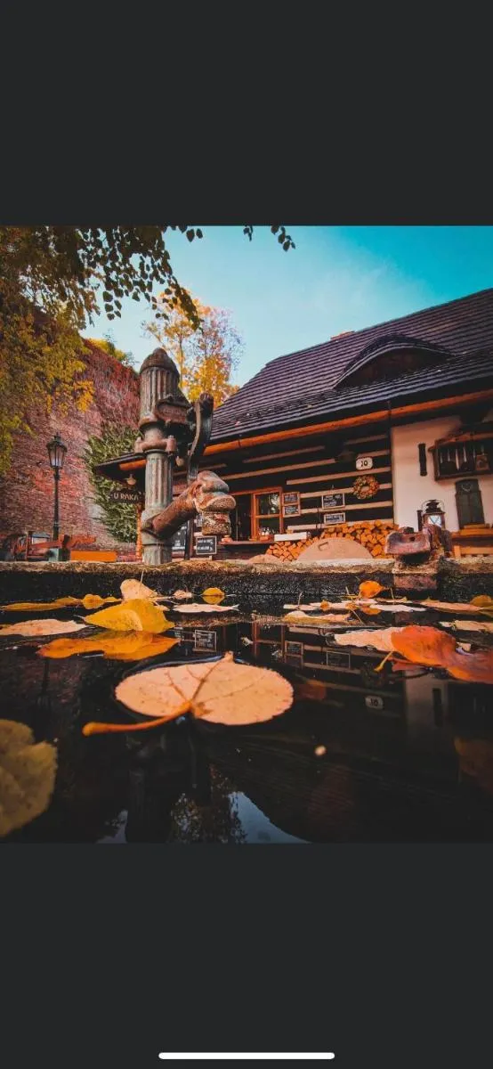 Image 5 of Romantik Hotel U Raka