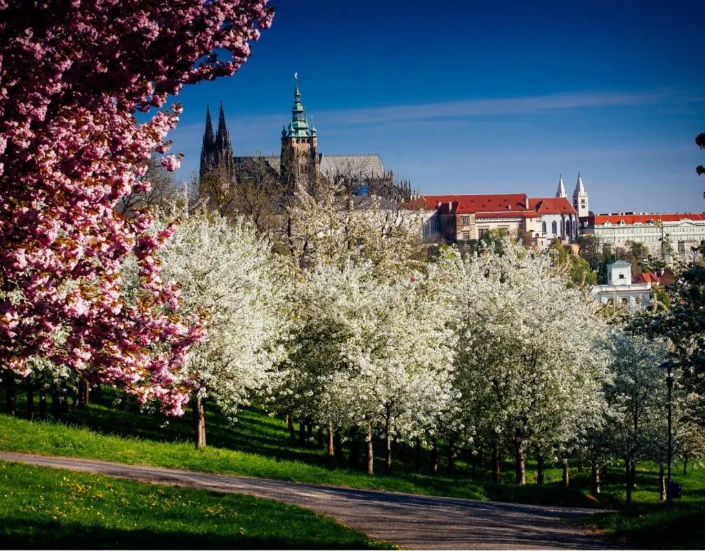Image 5 of Royal Apartments Prague by Michal&Friends