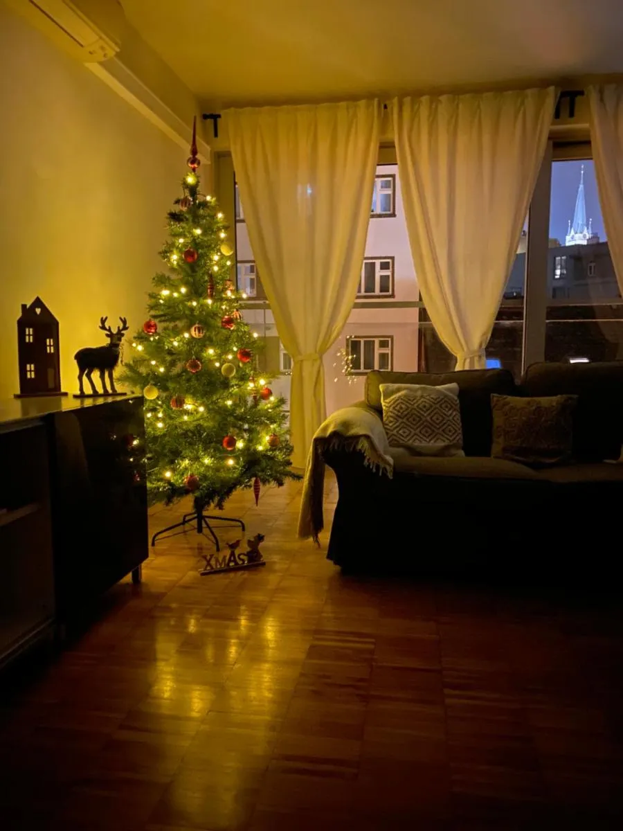 Image 1 of Spacious Apartment near City Center with Balcony and Garage Parking