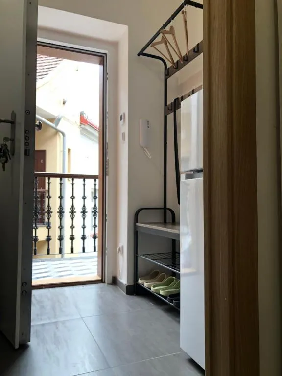 Image of Studio apartment in Viktoria Zizkov