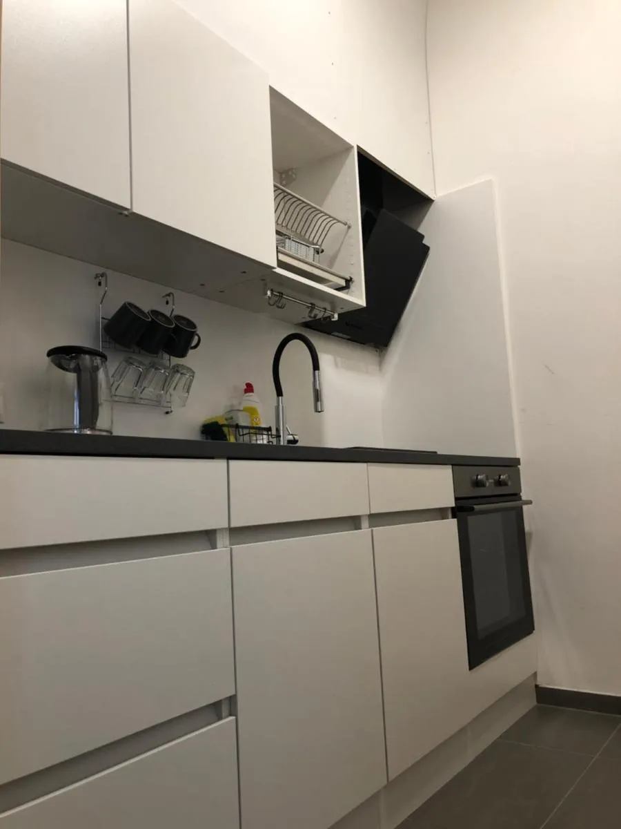 Image 6 of Studio apartment in Viktoria Zizkov