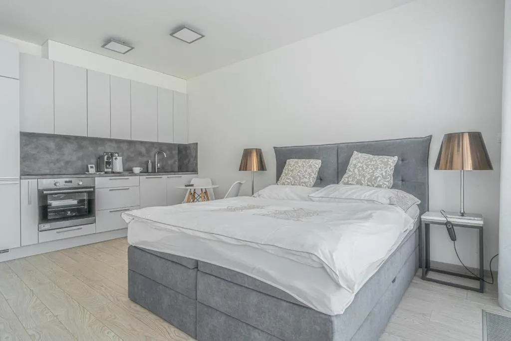 Apartment Karel with garage parking