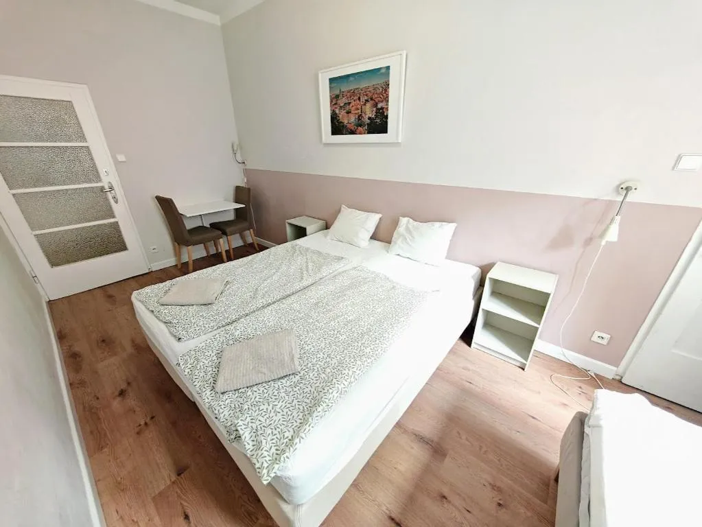 Apartment in Zizkov -201-