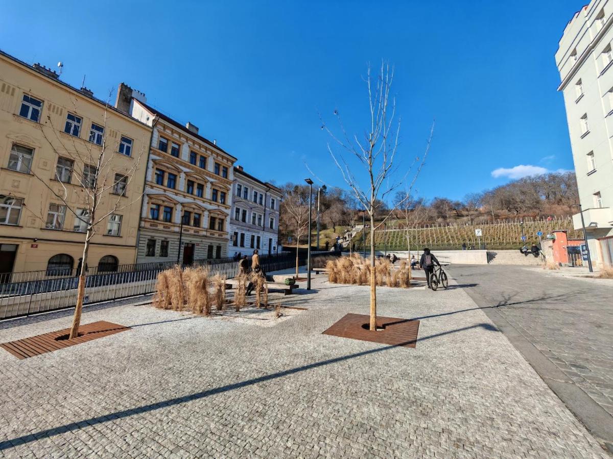 Image 5 of Apartment in Zizkov -301-