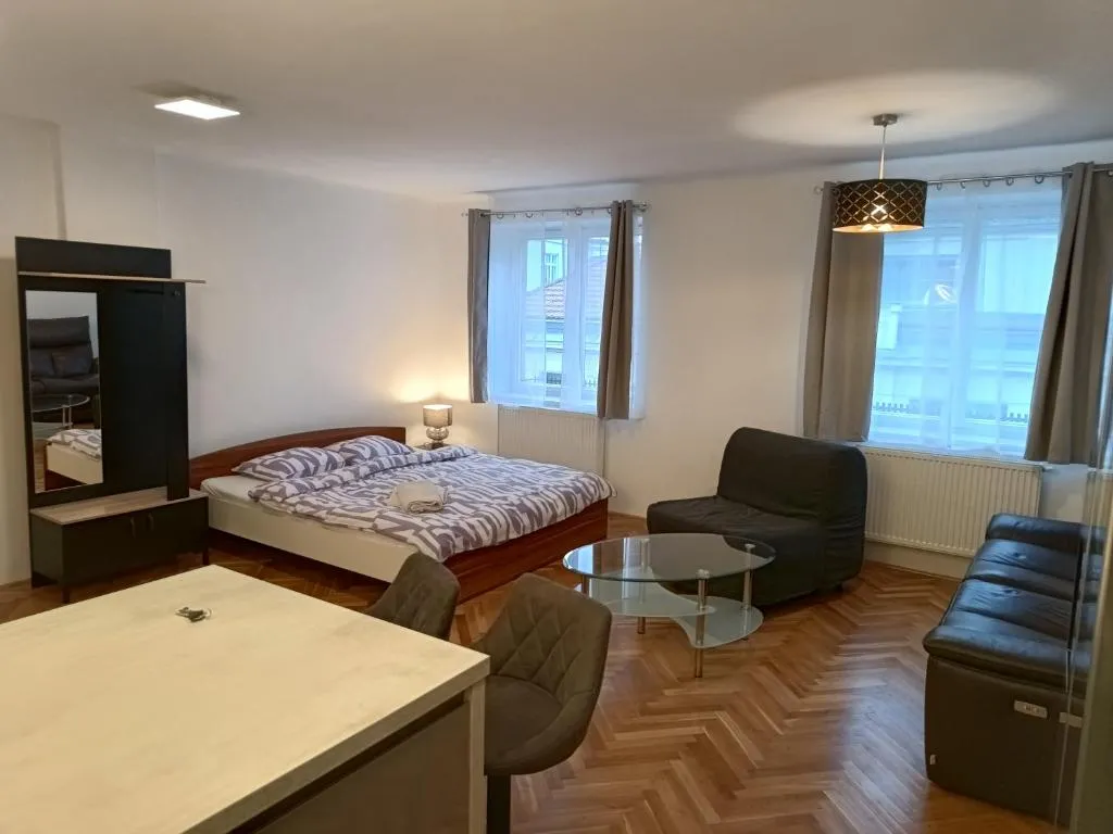 Apartment in the Center of OId Town