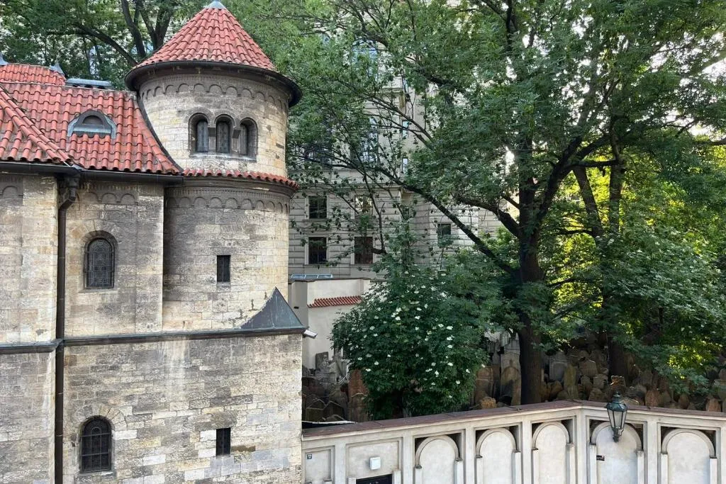 Authentically stylish apartment with a mystical view GOLEM