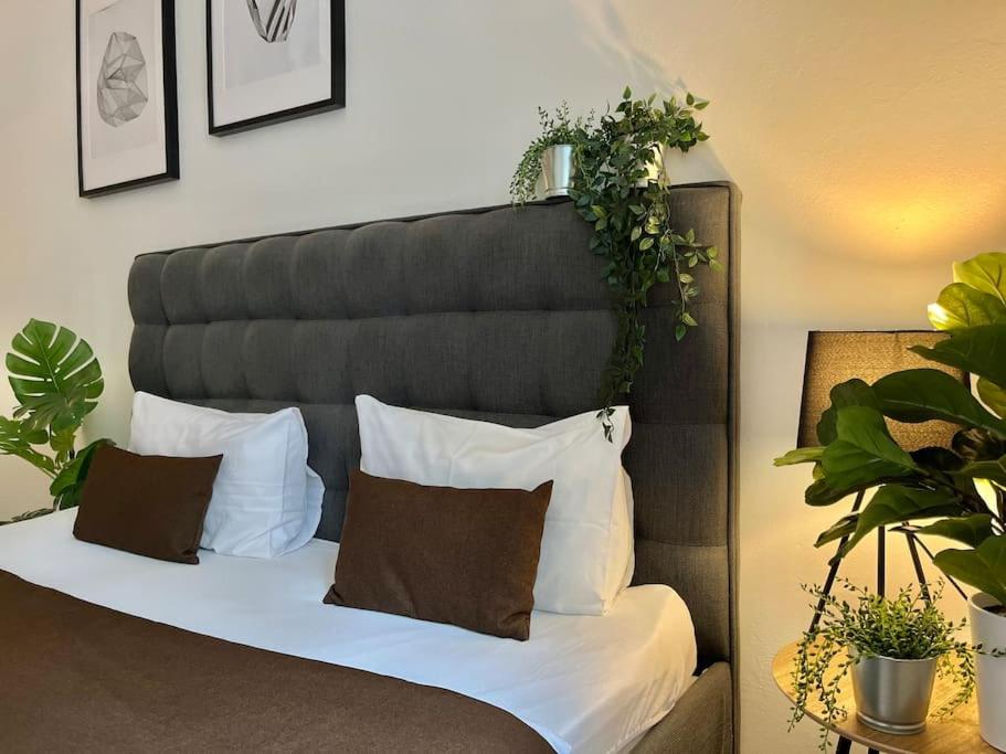 Image 5 of Beautiful New Town Apartment