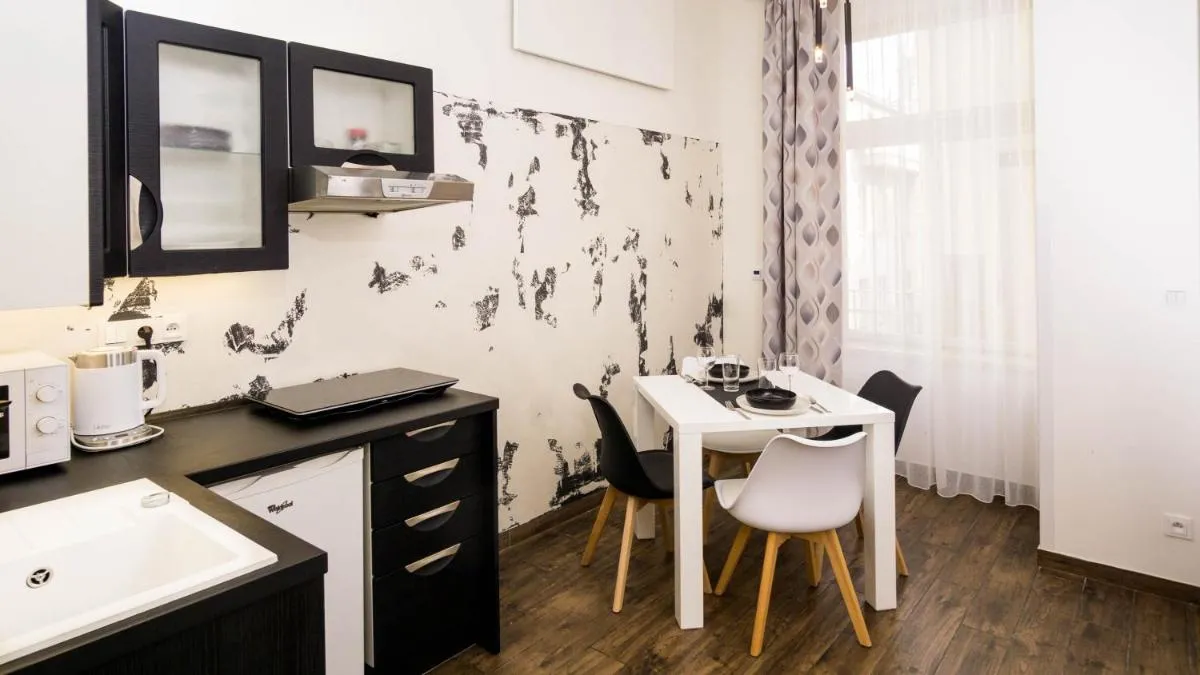 Black & White Apartment Prague by Wenceslas Square and Muzeum - 2