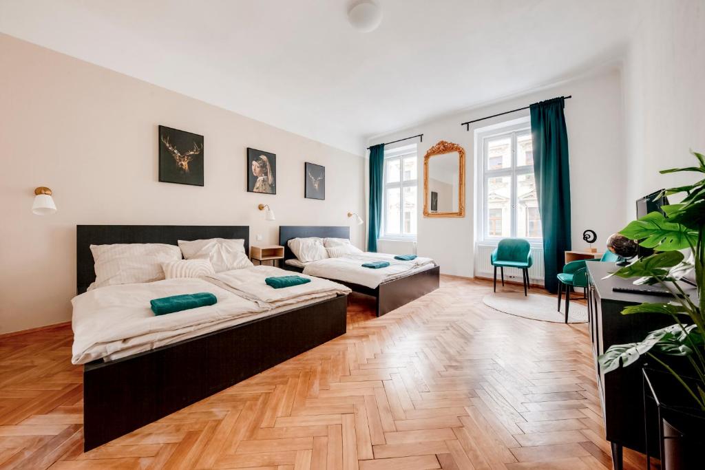 Image of City center premium apartment