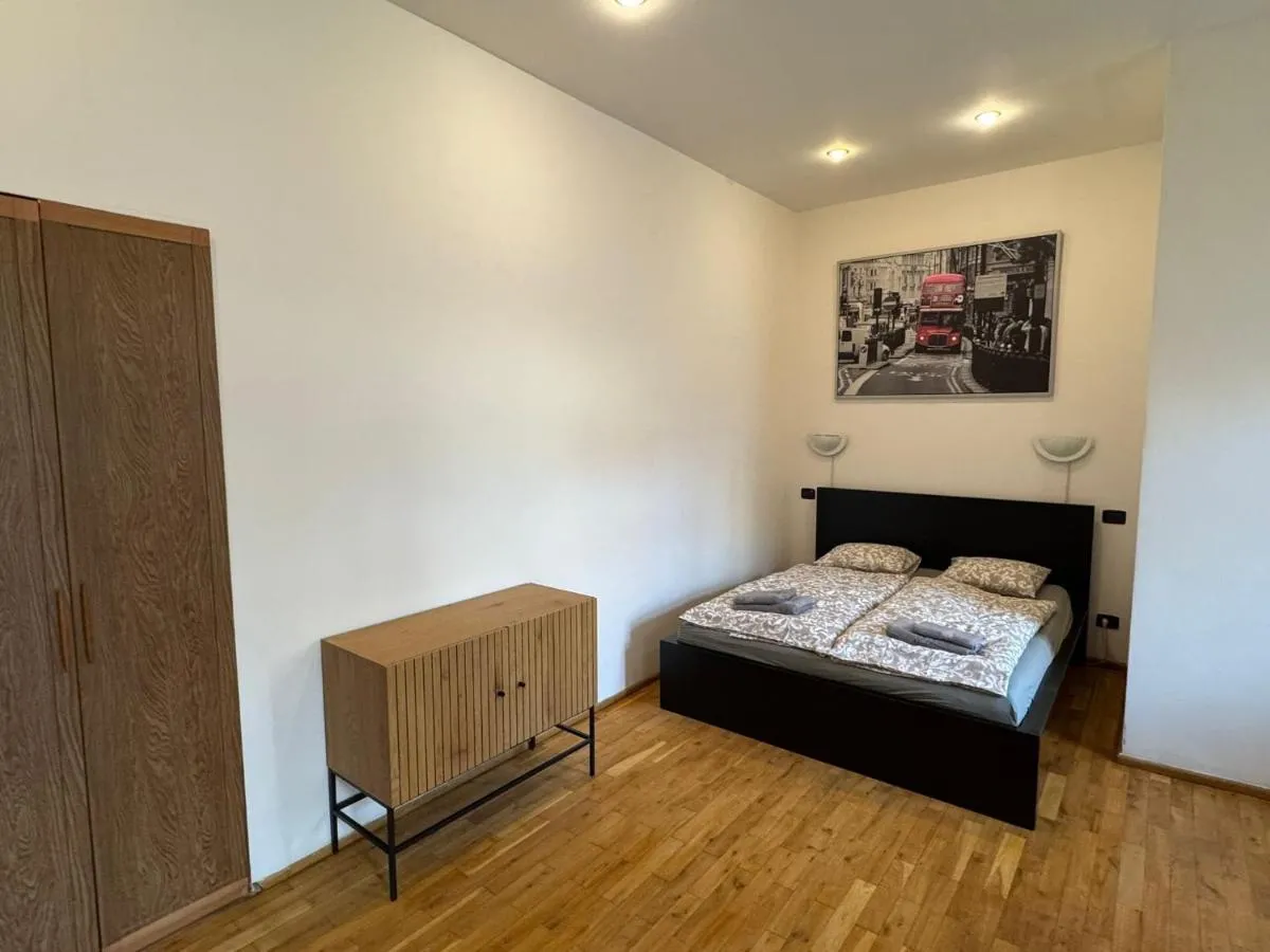 Cosy Studio with terrace near Florenc - 2