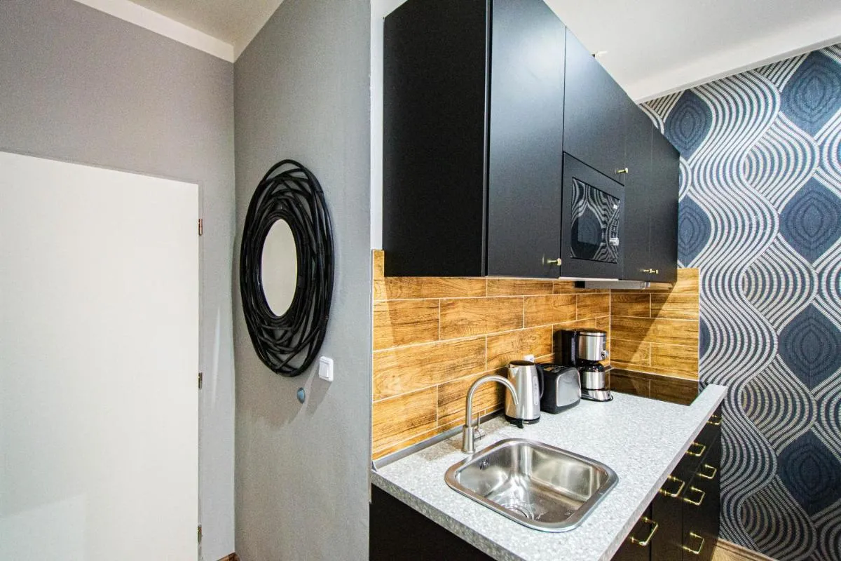 Cozy studio in the main city center - 3