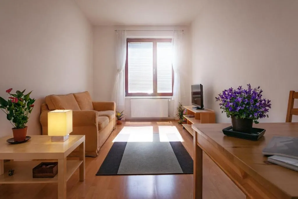 Downtown Apartments Kozatska