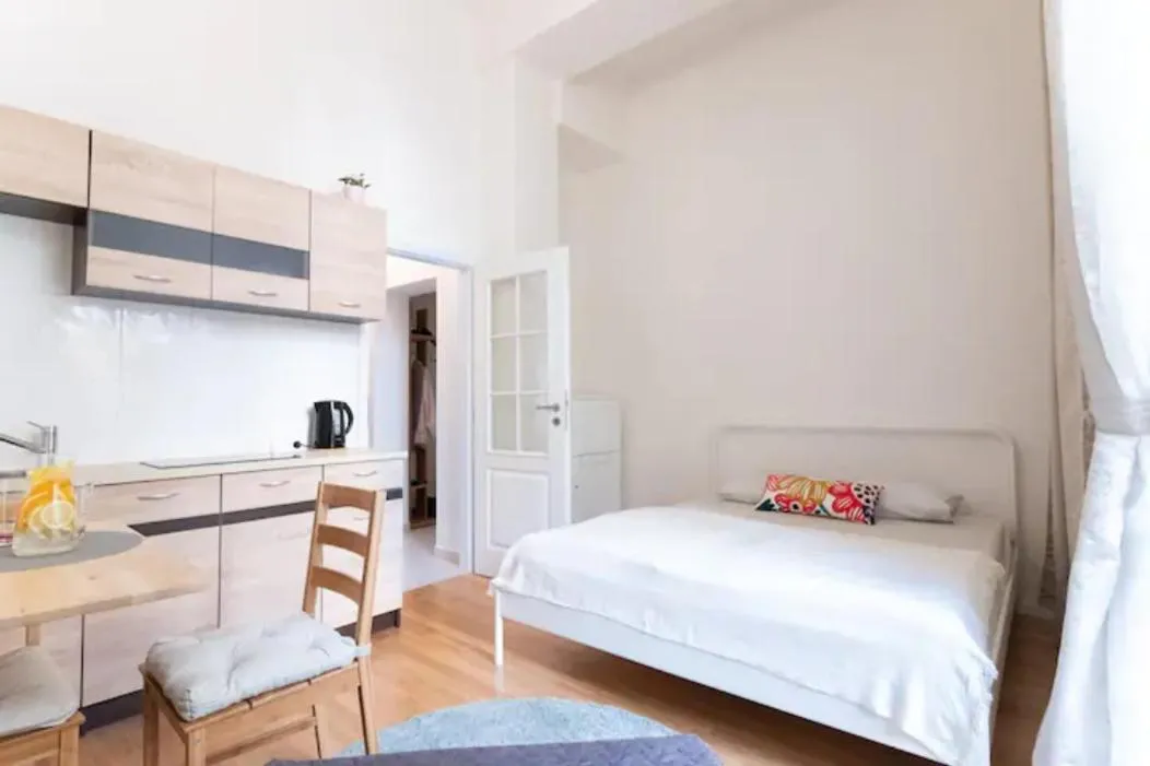 Favorite apartment in the center of Prague 1 - 2