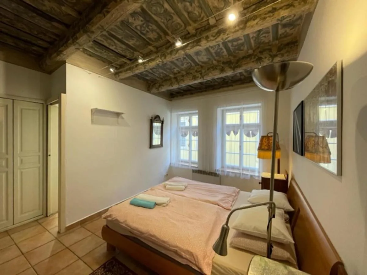 Historical apartment with balcony - 2