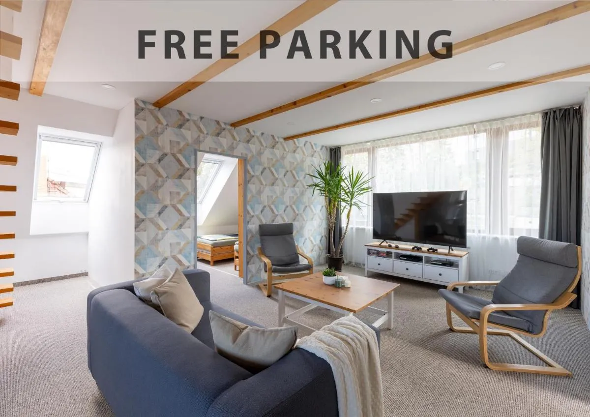 VOUSATÁ DÁMA – PS3 – Parking free - 2