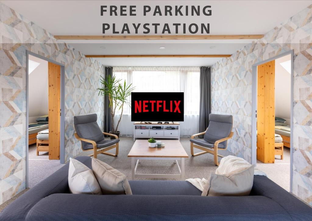 Image of VOUSATÁ DÁMA – PS3 – Parking free