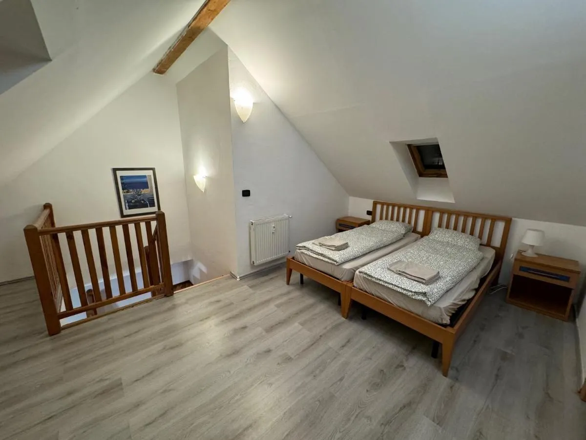 Vitkova Duplex apartment with terrace near Florenc - 2