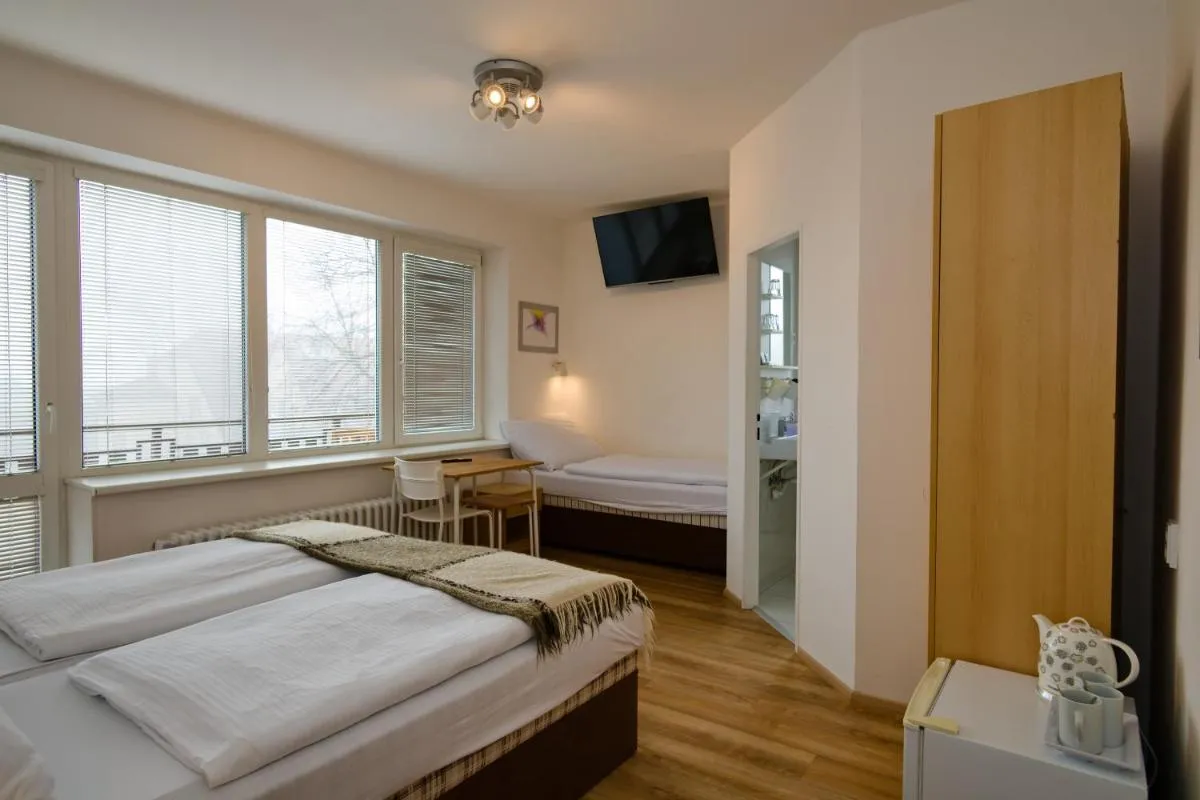 Wellness Vila Bohemia - 2