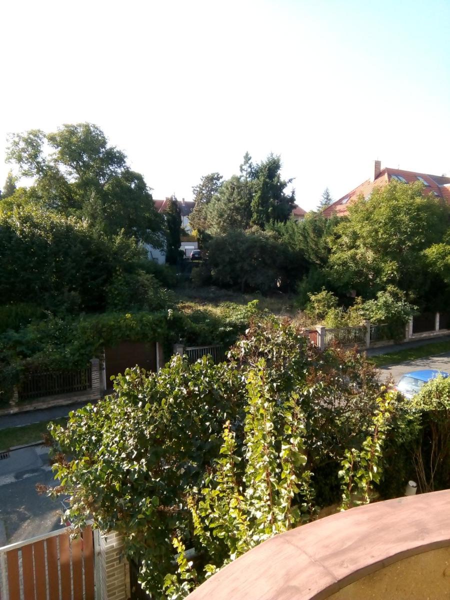Image 5 of apartricanova